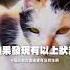 要怎麼知道喵寶生病了 CADO浪愛在一起 喵寶有沒有生病 學這兩招教你怎麼看