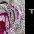 Tee Grizzley No Hook Official Audio