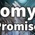 Nomyn Promise