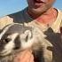 I Caught A WILD Baby Badger