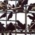 The Birds 1963 Crows Stalk The Playground Scene Movieclips