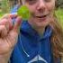 A Real 4 Leaf Clover