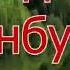 Куш хотин