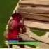 I M COMING FORTNITE NICK EH 30 MEME