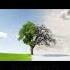 Summer Song NYC Freaks Esty Funny