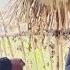 The Child S Father Forced The Mute Mother To Sign Custody Papers