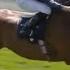Slick Armory Storms To Victory At Chester For Ryan Moore And Aidan O Brien