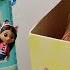 What S Inside GABBY S DOLLHOUSE Surprise Box For Adley And Niko Playing Toys With Our Family