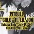 Pitbull Lil Jon Culo 2000s Music Shorts Episode 103
