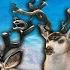 516 Bucks Into Great One Mule Deer Grind 2 Fully Herd Managed Askiy Ridge Grind Call Of The Wild