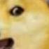 Le AUSTRIAN PAINTER Has Arrived 10 Hours