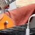 BUSKER Markus K S SPECTACULAR TRIBUTE To JEFF BECK Rolling And Tumbling