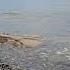 Звуки Черного моря Морской Прибой