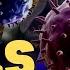 Cells For Kids Learn About Cell Structure And Function In This Engaging And Fun Intro To Cells