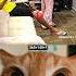 Fun Shorts Funny Tiktok Memes