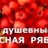 РУССКИЕ ПЕСНИ КРАСНАЯ РЯБИНА слушать СТИХИ СТЕПАН КАДАШНИКОВ скачать ЛУЧШИЕ НАРОДНЫЕ ПЕСНИ онлайн