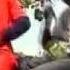 Red Morgan Internation MAMMA WATOTO DAT