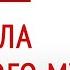 Каким должен быть настоящий мужчина Незрелый мужчина Почему мужчины как дети Глазами Души