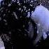 Free Soundcloud Archive Core Hardrock Type Beat Nonstop Veritate