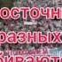 Светлана Никонович Город Хабаровск