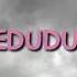 Bo Dudu Mr Chozen Remix
