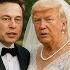 川马爱情一场梦 讽刺搞笑歌曲 Trump Musk A Fleeting Dream Of Love