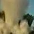WTF Boom