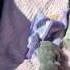 Watch These TINY Frenchies Turn Into Chaotic Potatoes The Dodo