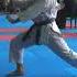 КАРАТЭ КАТА ШОТОКАН ЭНПИ SHOTOKAN KATA ENPI WKF KARATE 型 燕飛 松濤館 空手道