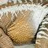 Mattel Hammond Collection Spinosaurus Review Jurassic Park 3 New 2025