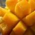 Mango Song Shorts Viral