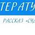 9 класс Литература М А Шолохов Рассказ Судьба человека