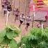 Homegard Bahali Kaimur
