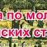 Чудеса по молитвам оптинских старцев Рассказ Нины Павловой