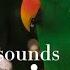 Тропический лес Звуки леса TROPICAL FOREST CALMING FOREST SOUNDS