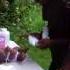 Wipe Powder Pamper