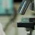 New COVID 19 Variants NB 1 8 1 LF 7 Detected In India Amid Rising Cases News9