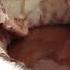 How Cocoa Butter Is Extracted From Cocoa Paste