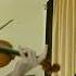Romance Original Composition