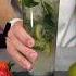 КАК СДЕЛАТЬ ПРАВИЛЬНЫЙ МОХИТО простыерецепты коктейль Drink Cocktail