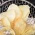 Lays Style Potato Chips