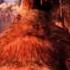 Farcry 1 La Chasse Au Mamouth