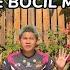 10 TIPE BOCIL MAIN FF