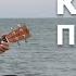 Позади крутой поворот Анне Вески кавер