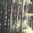 CampgroundViews Com San Suz Ed RV Park West Glacier Montana MT