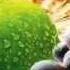 About PhytoScience Stem Cell Call Rajan Kumar 9999062586
