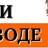 ВСЁ ЧТО ТЕБЯ БЕСПОКОИТ УЧИТ ТЕБЯ КАРЛ ЮНГ