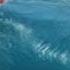 OWEN WRIGHT RE LIVES HIS PERFECT TEN AT THE BOX FIRST SURF PLUS ADAM MELLING S NEAR DEATH WIPEOUT