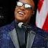Stevie Wonder I Just Call To Say I Love You Shorts