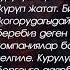 МИКтин саясаты карапайым калкты үйлүү кылуучу социалдык саясат Садыр Жапаров